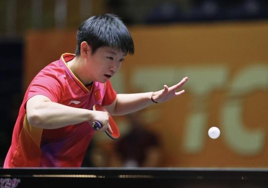 参与度高 参与度高